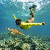 great barrier reef
