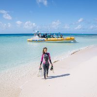 great barrier reef