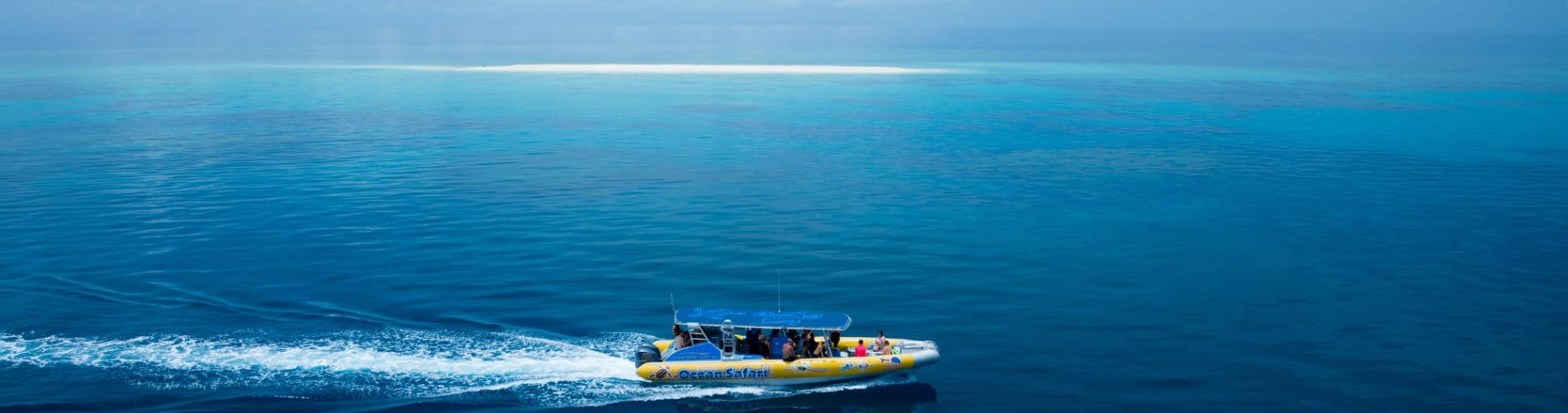 great barrier reef snorkelling