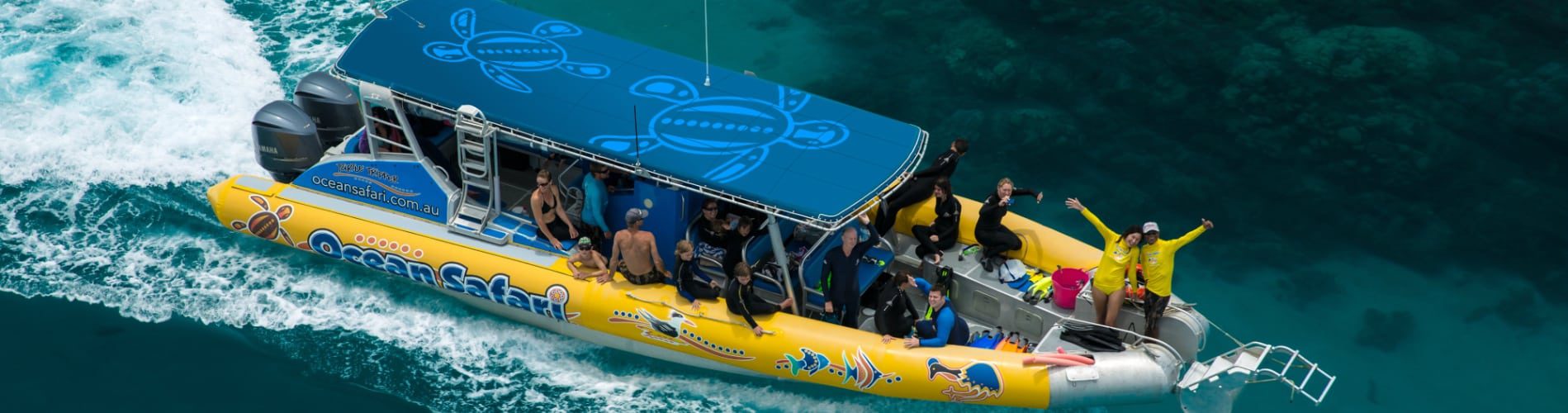 ocean safari