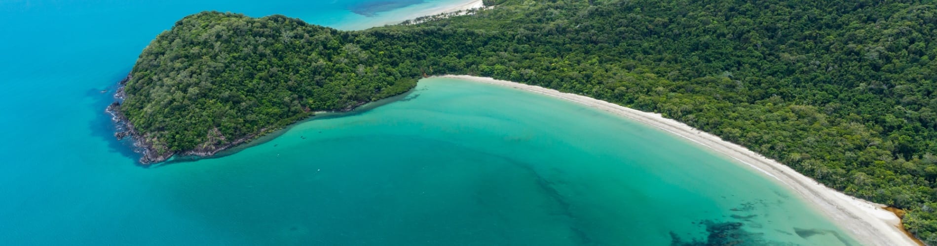 cape tribulation