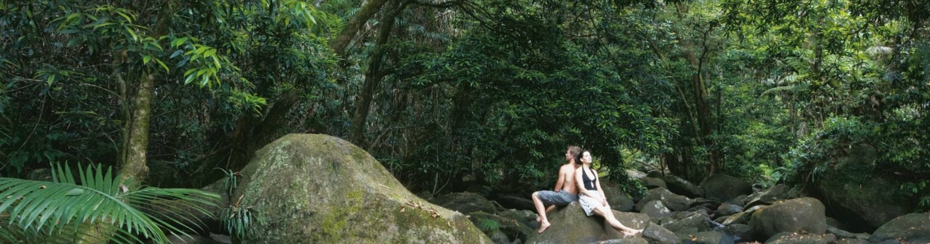 daintree tours