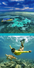 great barrier reef