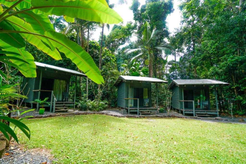 cape tribulation accommodation