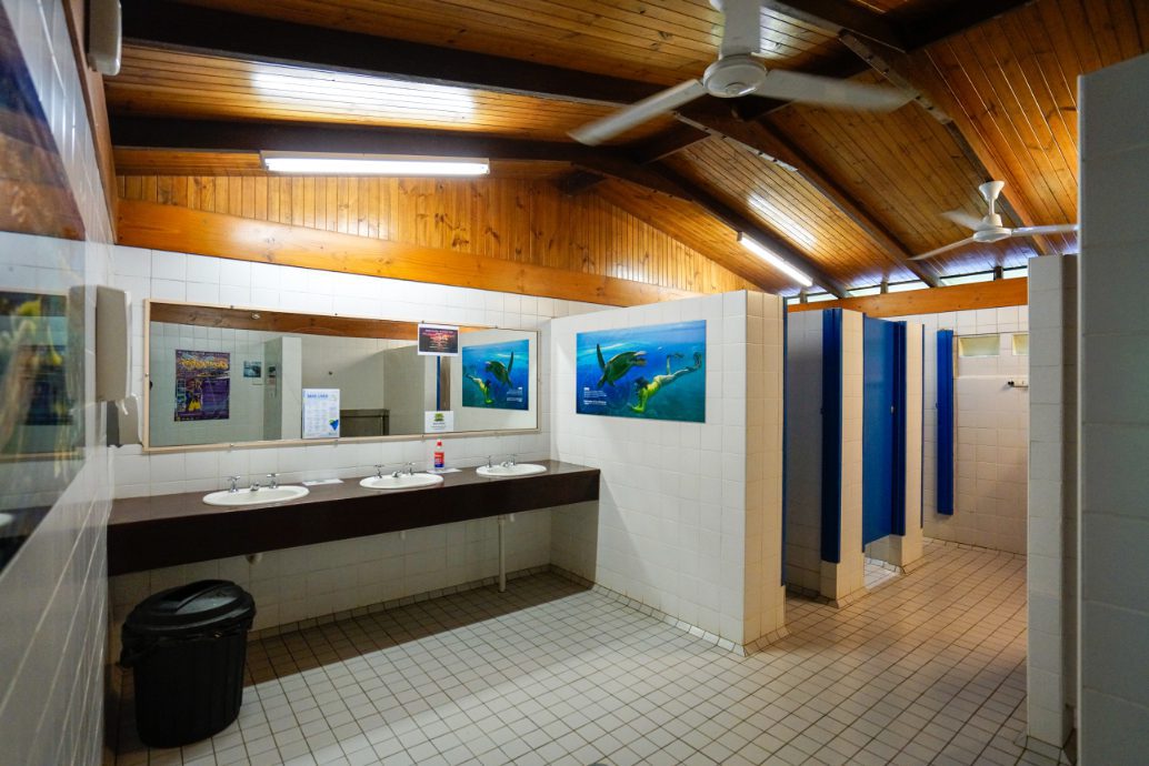 cape tribulation accommodation