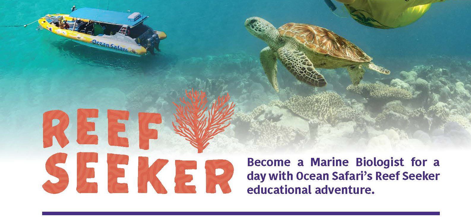 reef seeker